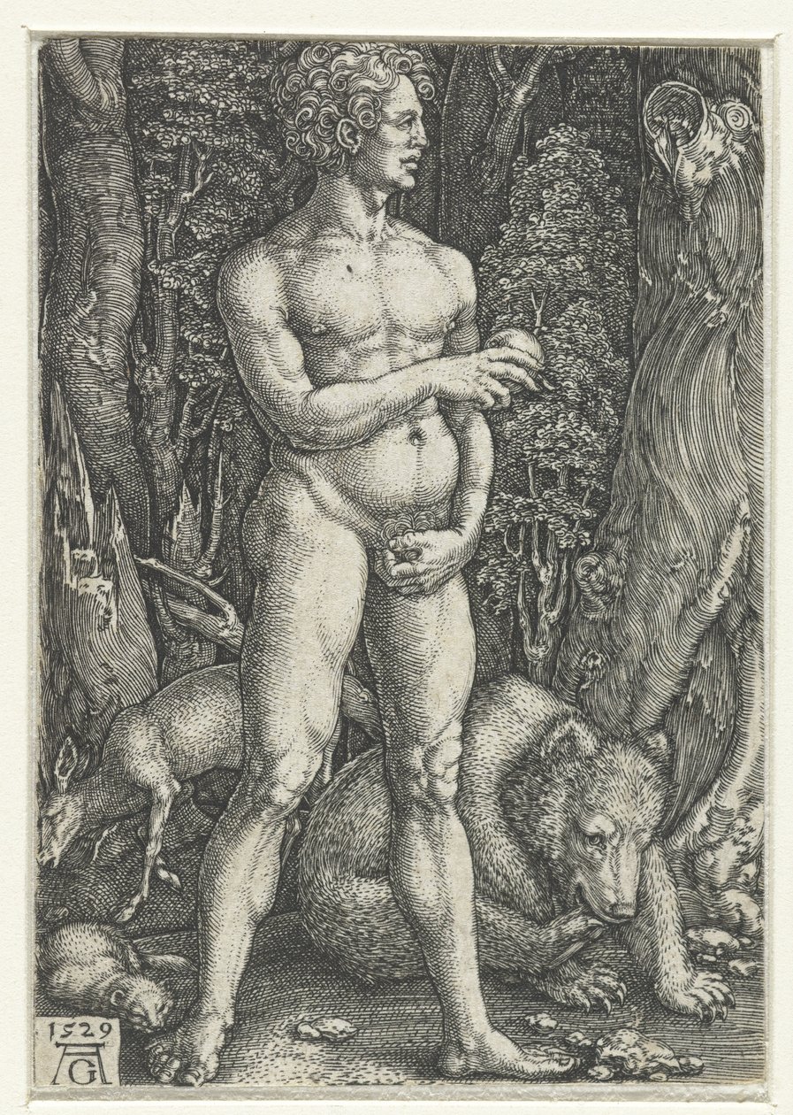 Adam tekijältä Heinrich Aldegrever