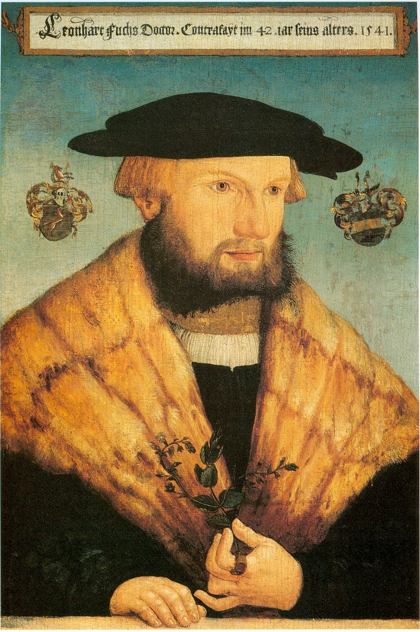 Leonhart Fuchsin muotokuva (1501-1566) tekijältä Heinrich Füllmaurer