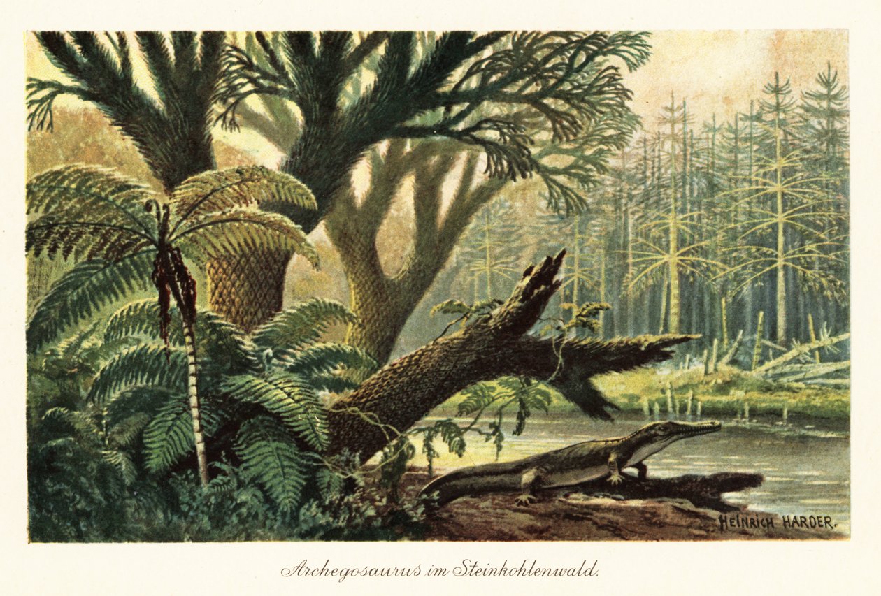 Archegosaurus decheni joen rannalla alkuperäisessä viidakossa. tekijältä Heinrich Harder