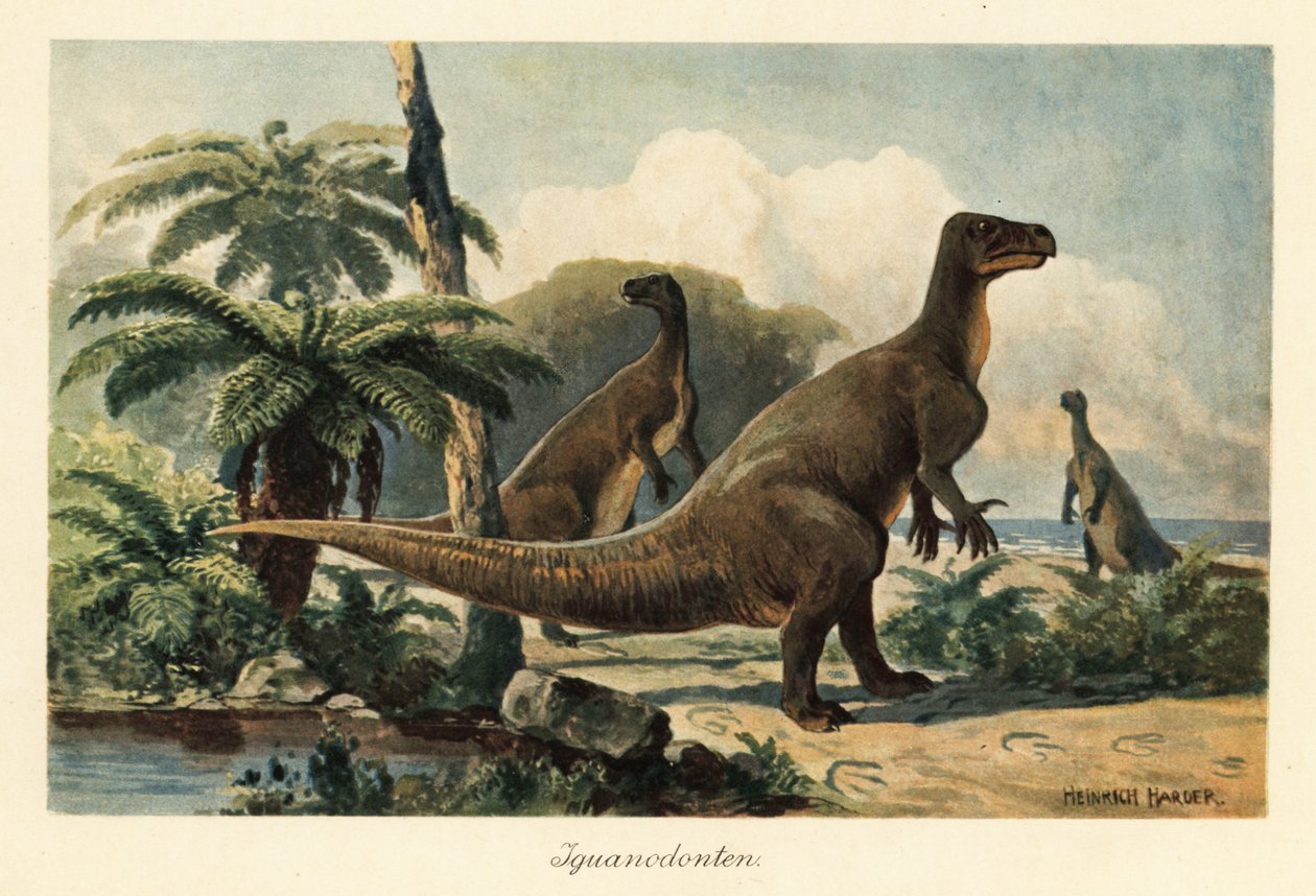 Iguanodon bernissartensis esihistoriallisessa saniainenmetsässä. tekijältä Heinrich Harder