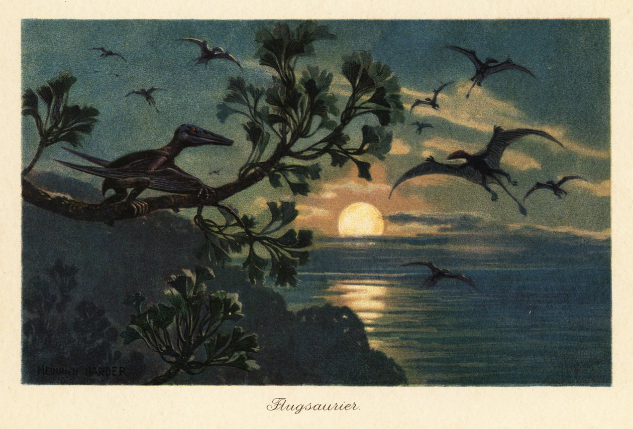 Rhamphorhynchus pterosaurukset lentävät kuunvalossa. tekijältä Heinrich Harder