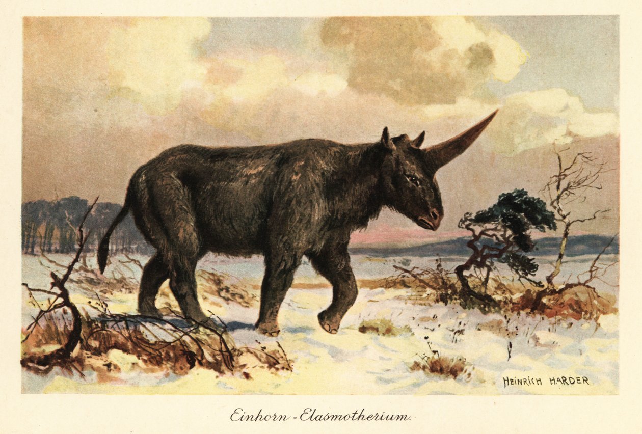 Siperian yksisarvinen, Elasmotherium sibiricum, lumisella tasangolla. tekijältä Heinrich Harder