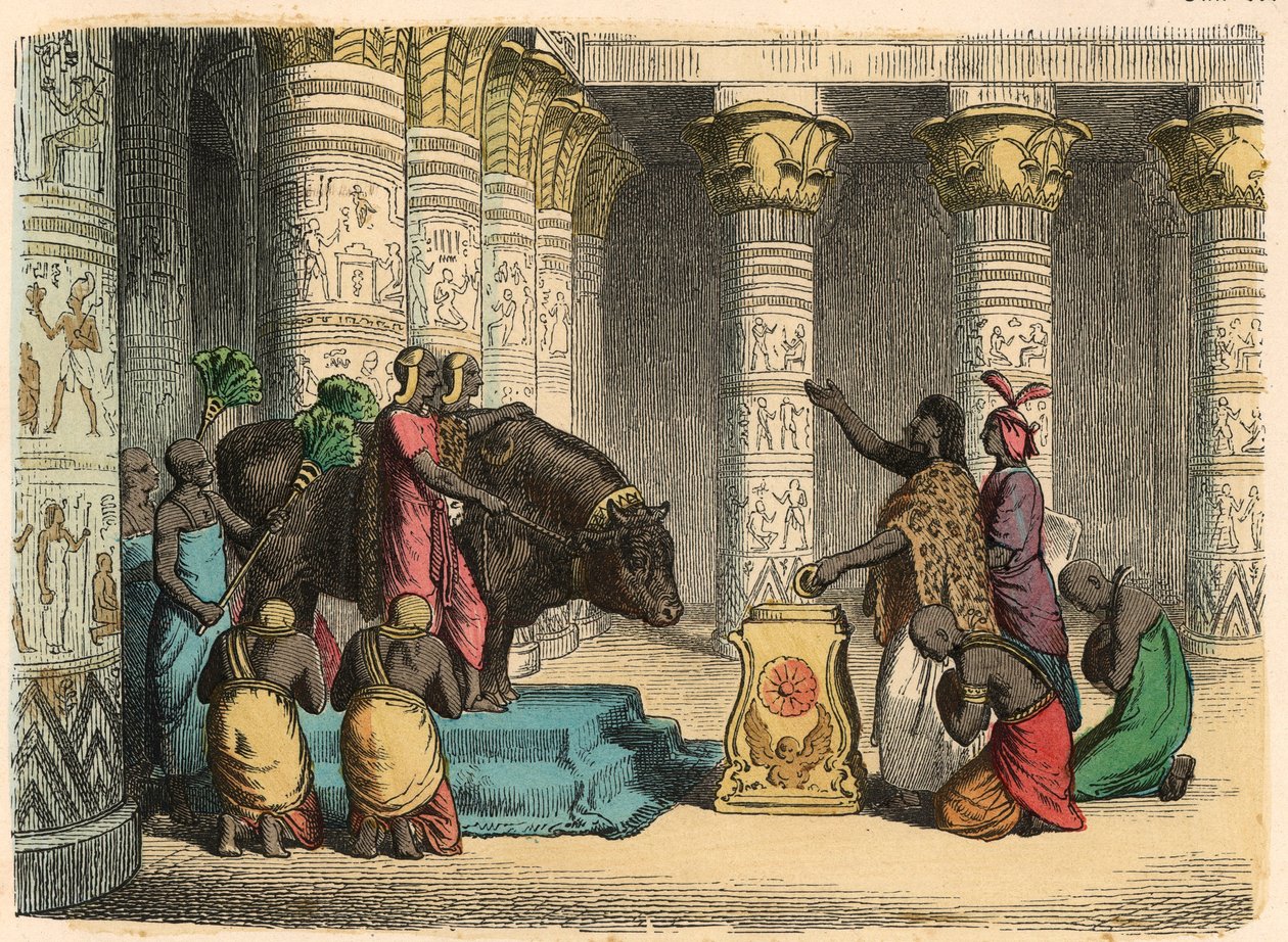Muinainen Egypti: Apis-härän palvonta tekijältä Heinrich Leutemann