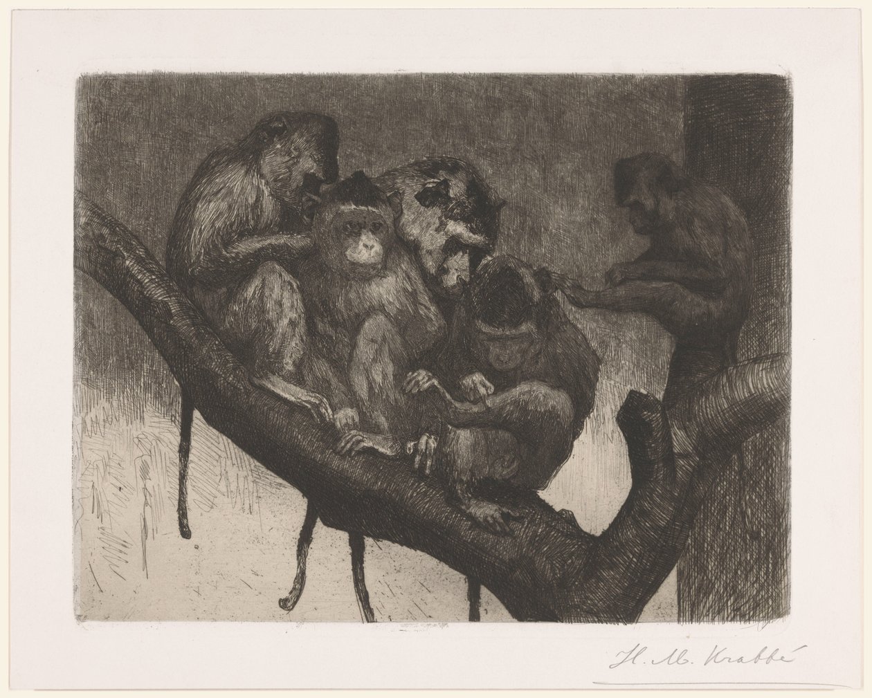 Cinc micos en un arbre acabat tekijältä Heinrich M. Krabbé (signed by artist)