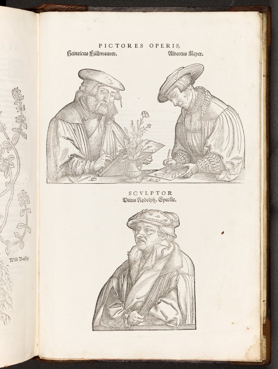 BT3.267.5 opp s896 Taiteilijat ja kaivertaja, kuvitus teoksesta De historia stirpium commentarii insignes, Leonhart Fuchs, 1542. tekijältä Heinrich and Meyer, Albert Fullmaurer