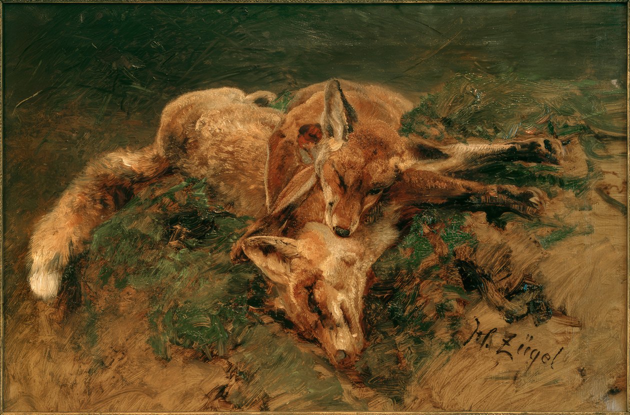 Kaksi kettua tekijältä Heinrich von Zügel