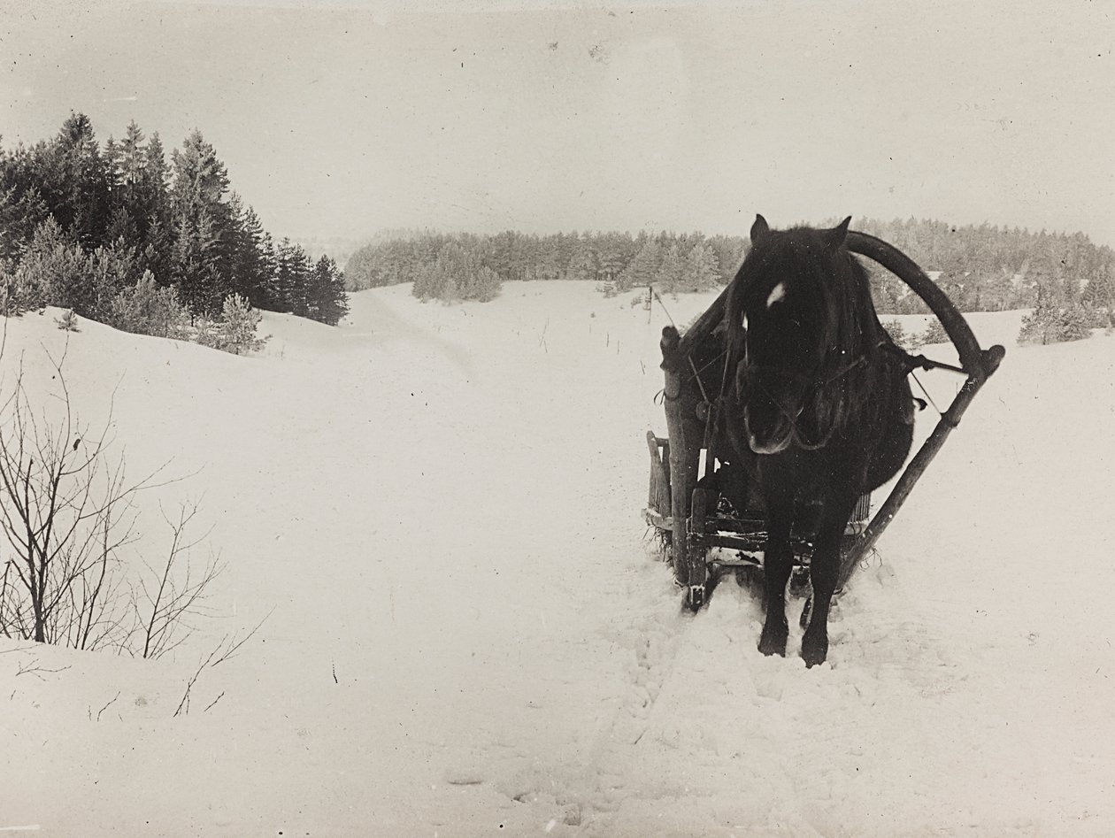 Ensimmäinen maailmansota: "Ukraina vuosina 1914-1916 Saksan armeijan hyökkäyksen aikana. Hevosen vetämä reki lumessa (m/w kuva) tekijältä Heldenfriedhof Dsessentniki (attr. to)