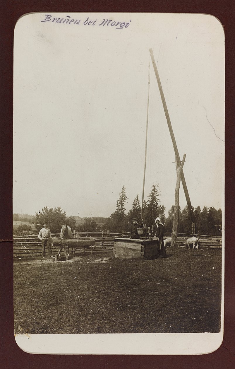 Ensimmäinen maailmansota: "Ukraina vuosina 1914-1916 Saksan armeijan hyökkäyksen aikana. Kaivo (m/w kuva) tekijältä Heldenfriedhof Dsessentniki (attr. to)