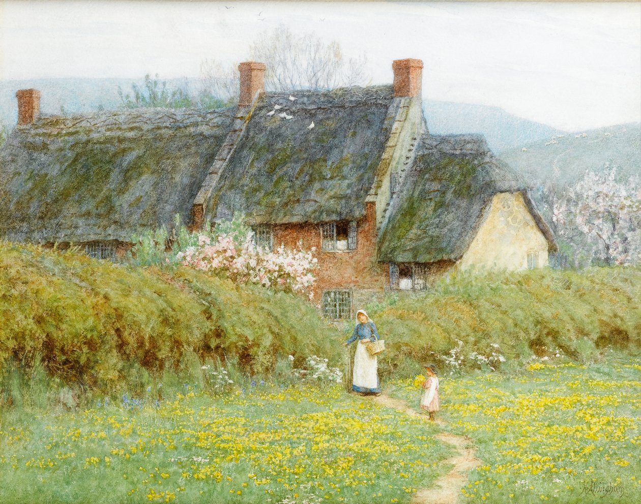 Buttercups, lähellä Bridportia, Dorset (wc paperilla) tekijältä Helen Allingham