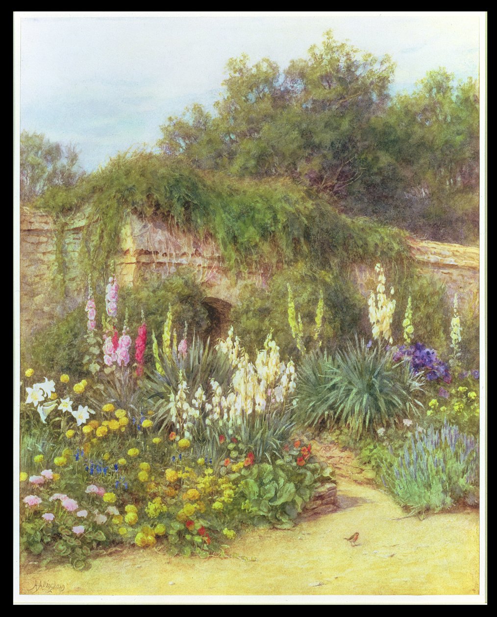 Munstead Wood Gardenissa, Gertrude Jekyllin puutarhassa, Godalmingissa, Surreyssa (kynä ja wc paperilla) tekijältä Helen Allingham
