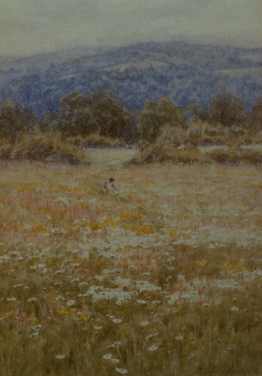 Päivänkakkaroiden poimiminen Westerhamissa, Kentissä tekijältä Helen Allingham