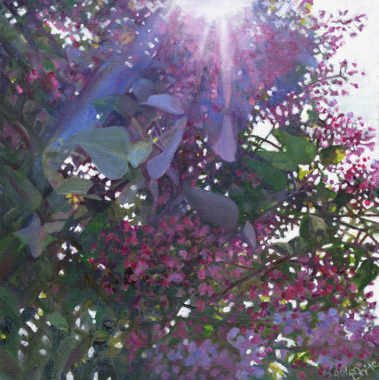 Brilliance, 2014, tekijältä Helen White