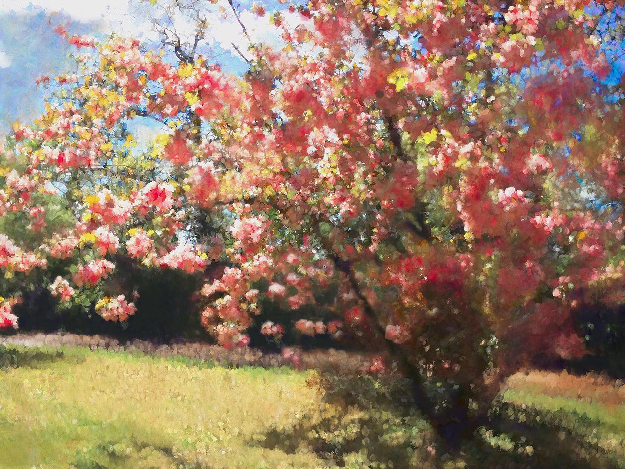 Kirsikankukka, 2018, tekijältä Helen White