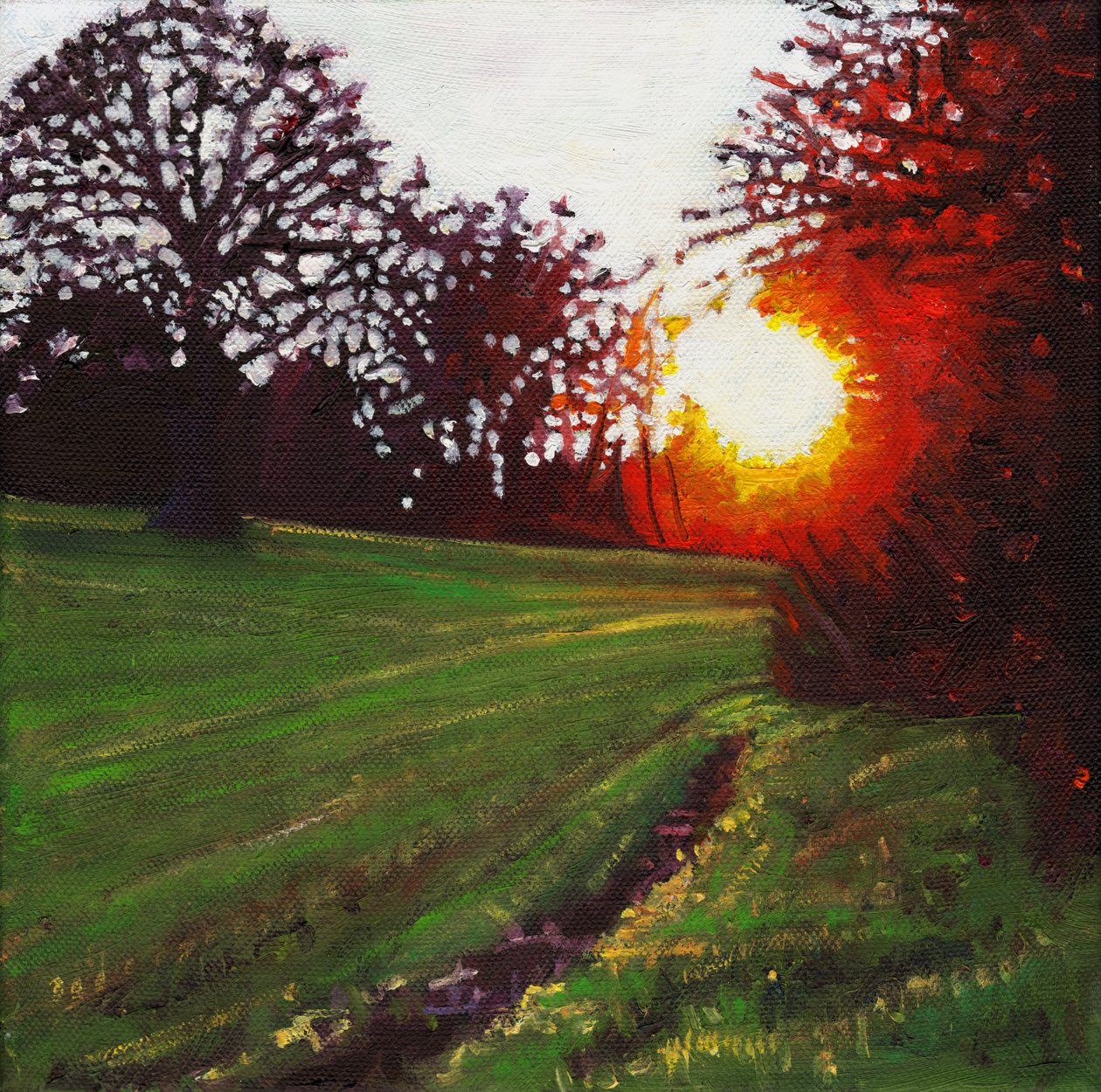 Päivän finaali, 2013, tekijältä Helen White