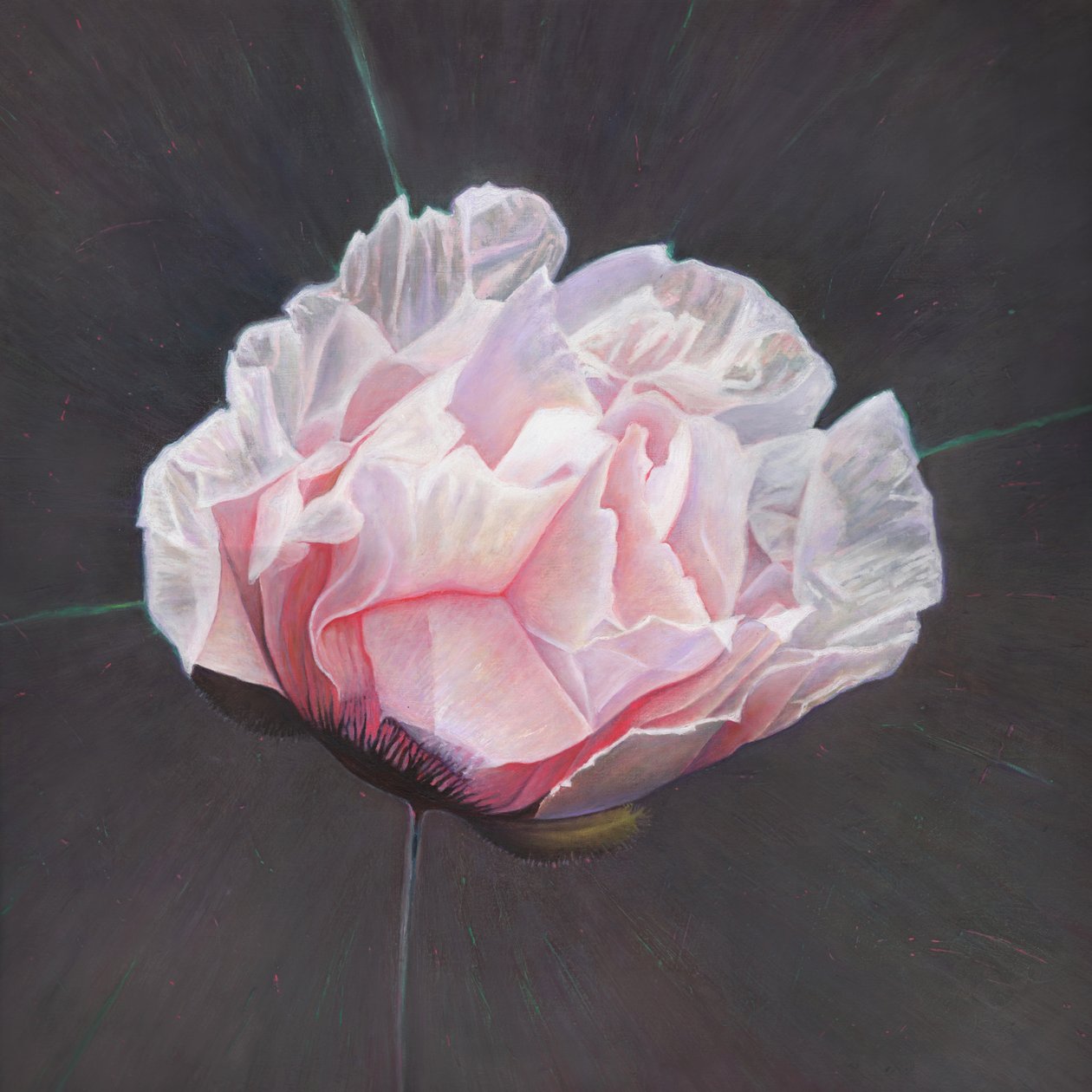 Ilmestyminen, 2015, tekijältä Helen White