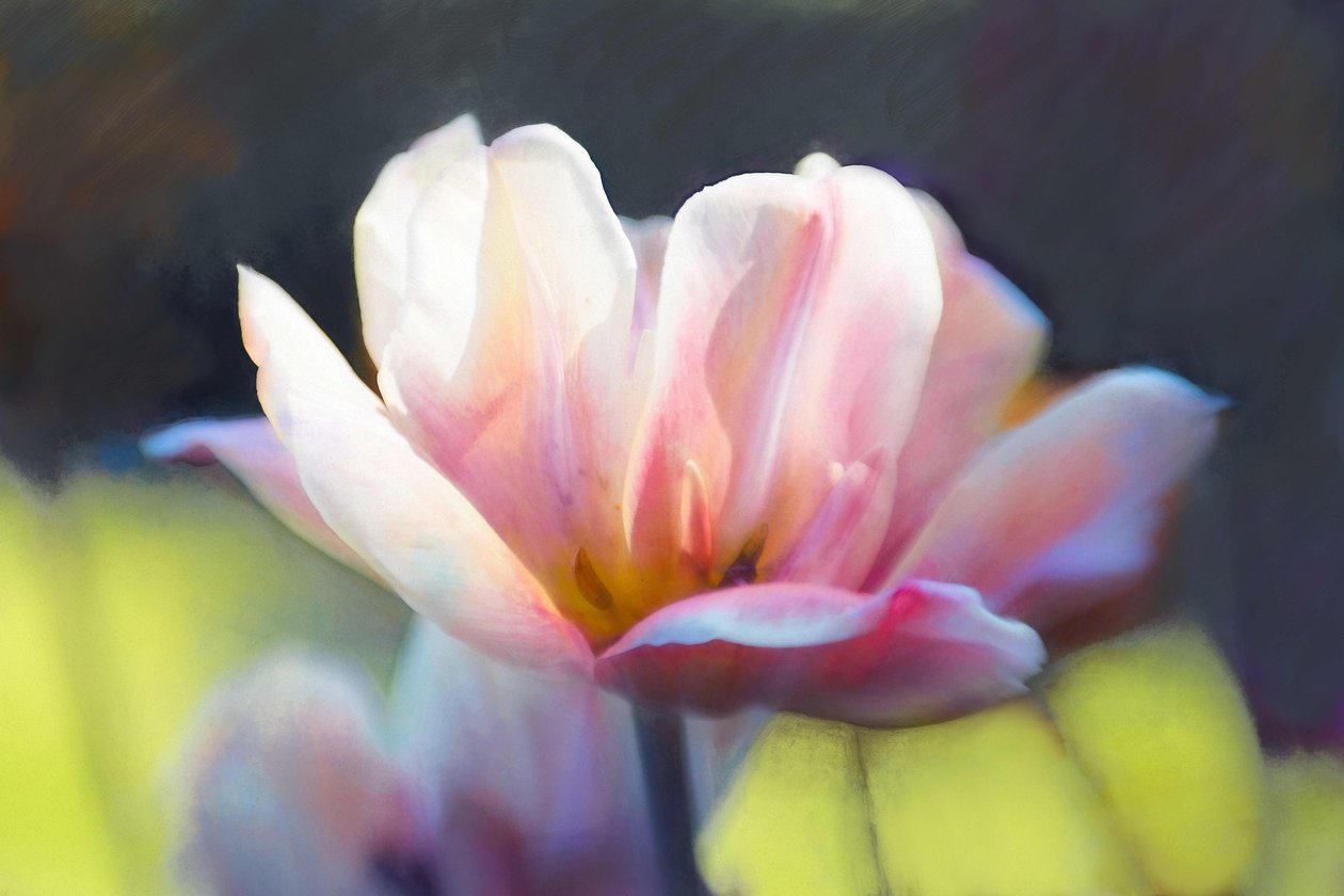 Emergence III, 2018, tekijältä Helen White