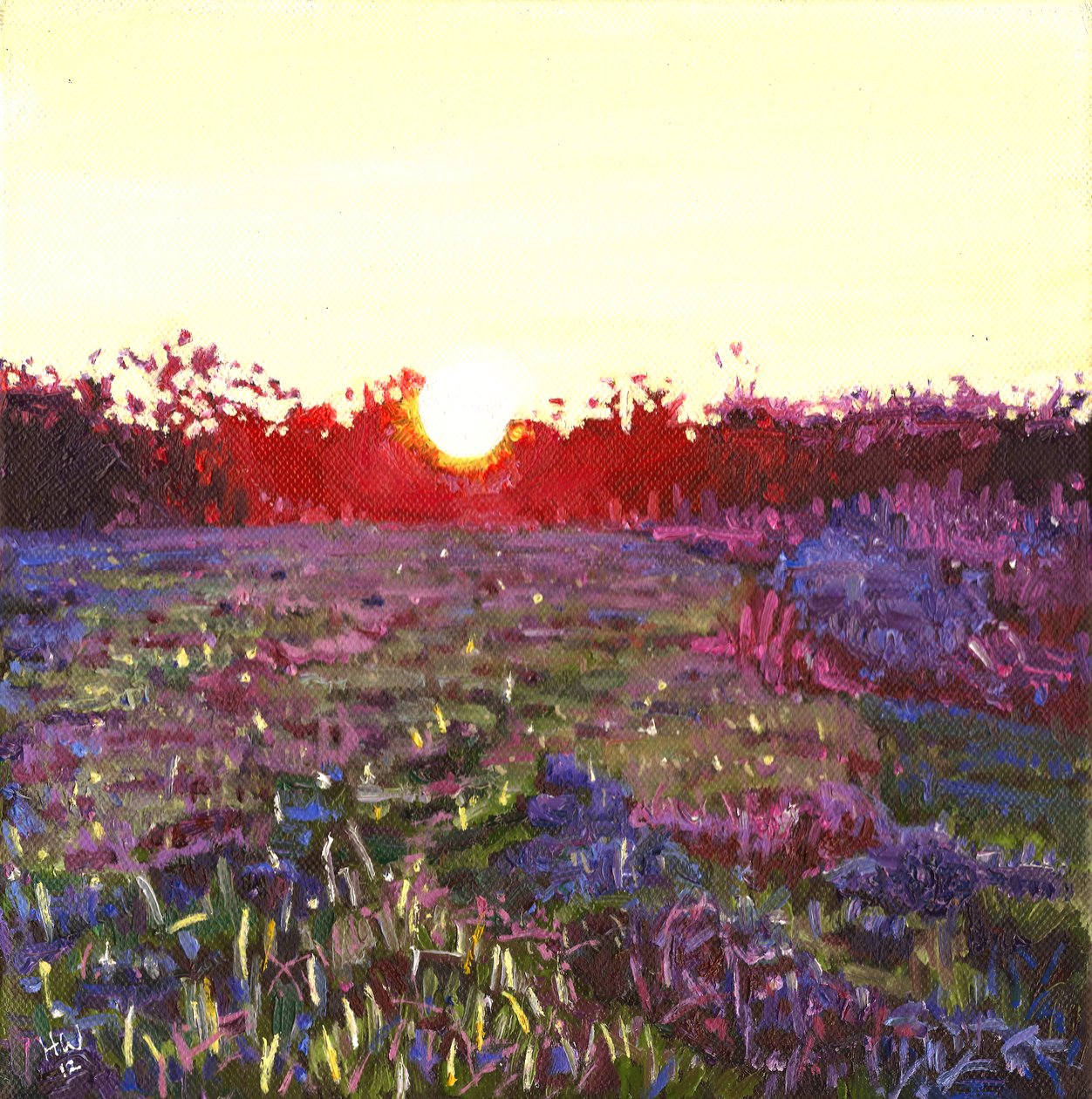 Farley auringonlasku, 2012, tekijältä Helen White