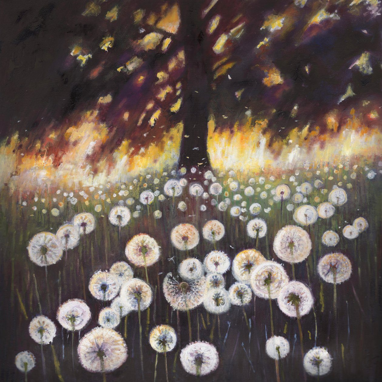 Unelmien kenttä, 2015, tekijältä Helen White