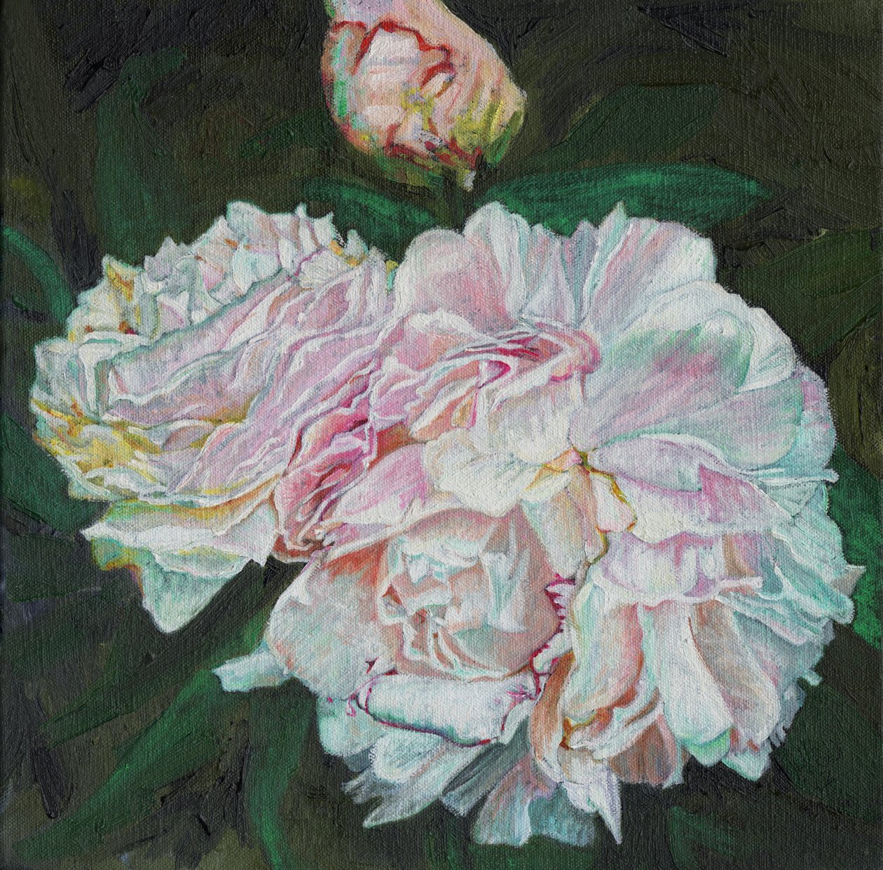 Ensimmäiset kukinnot, 2012, tekijältä Helen White