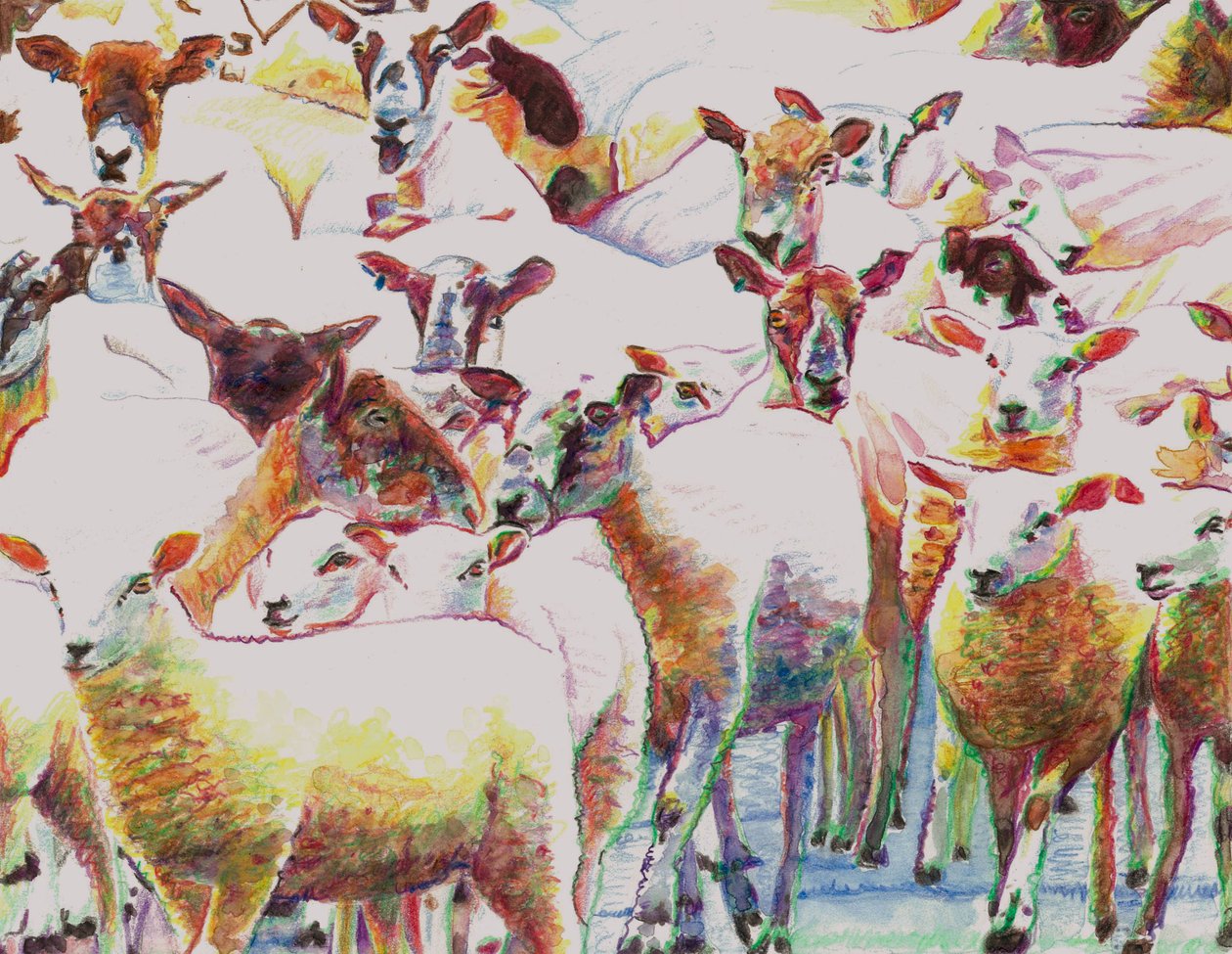 Flock, 2011, (värikynät paperille) tekijältä Helen White