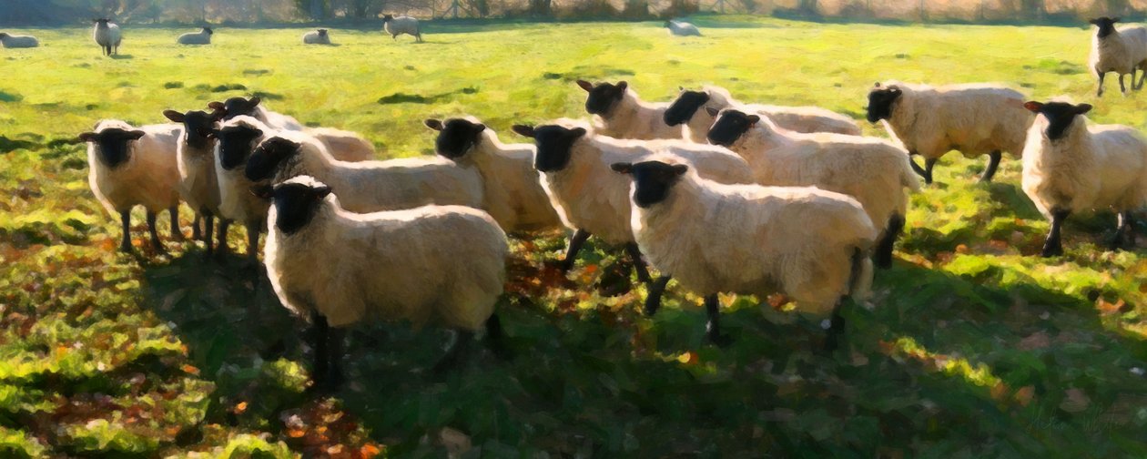 Flock Watching, 2018, tekijältä Helen White