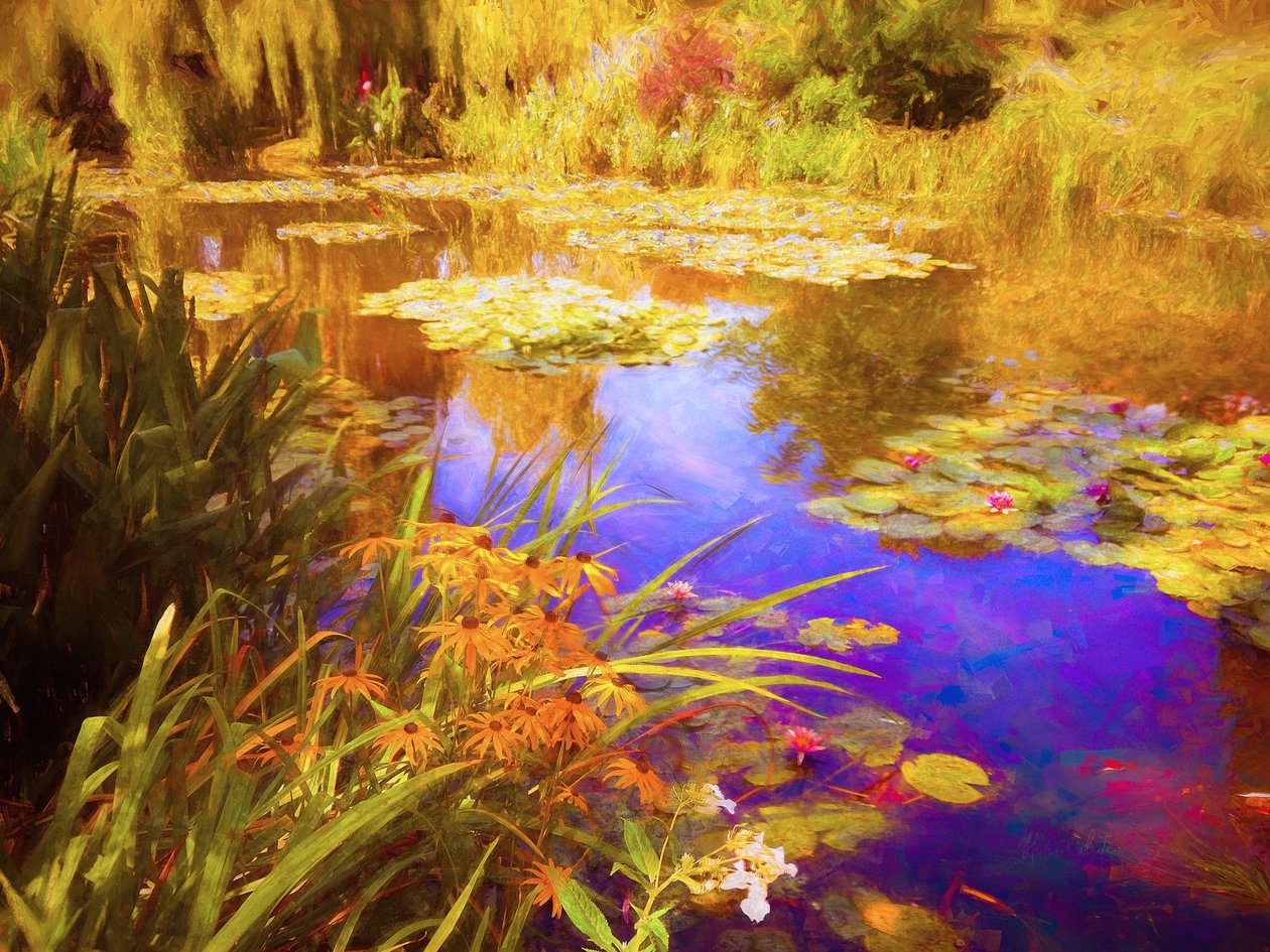 Giverny Waterlilies, 2019, tekijältä Helen White
