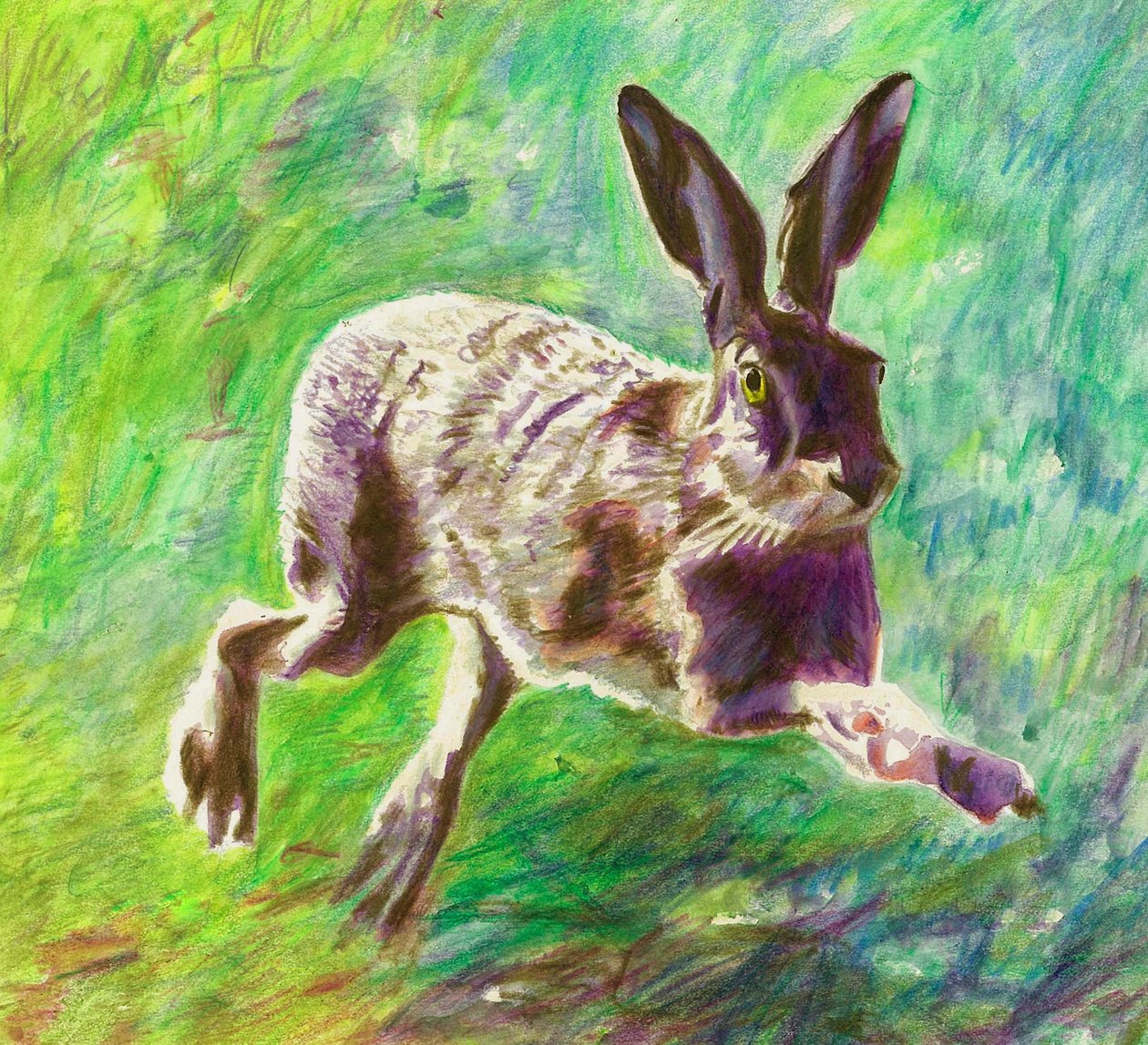 Iloinen jänis, 2011, (värikynä paperille) tekijältä Helen White