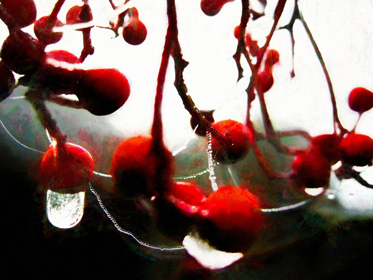 Lush Berries, 2018, tekijältä Helen White