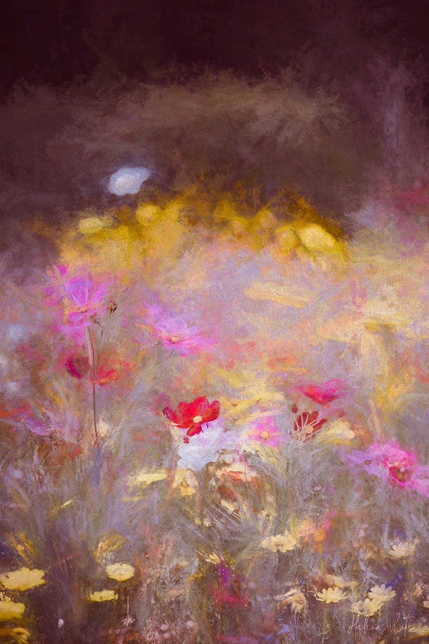 Niitty, 2018, tekijältä Helen White