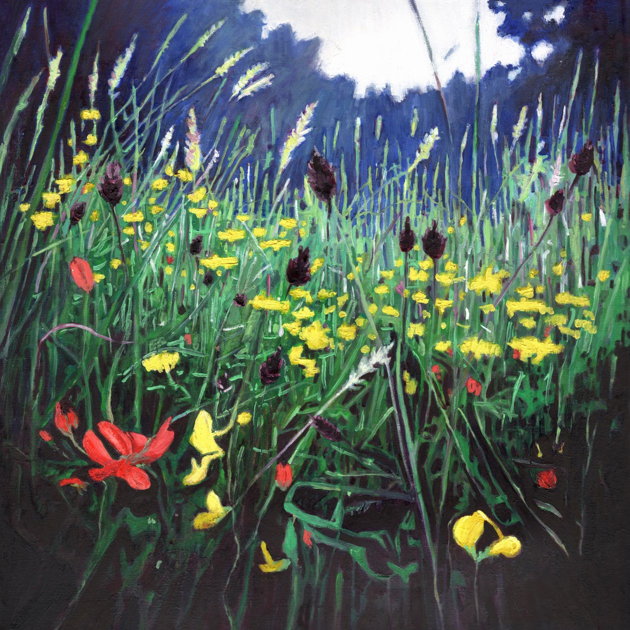 Meadow glory, 2015, tekijältä Helen White