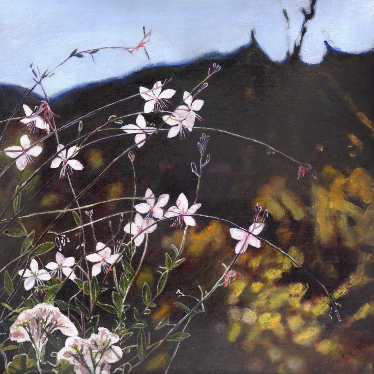 Provencen puutarha I, 2014, tekijältä Helen White