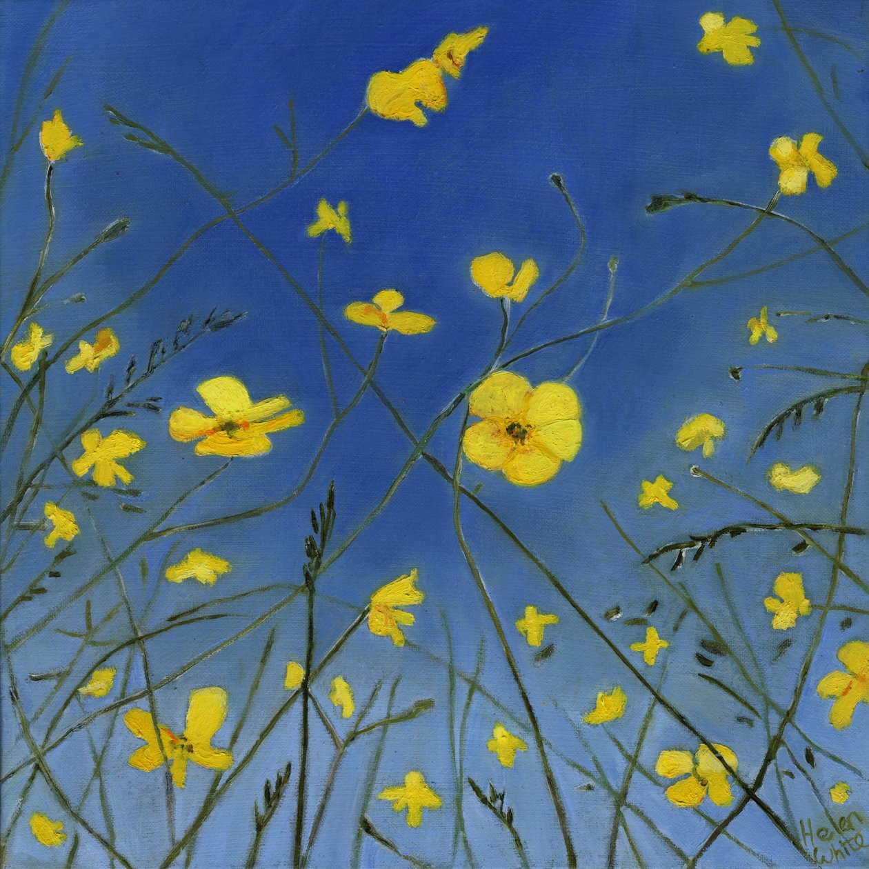 Kesäpäivät ja laiskot tavat, 2015, tekijältä Helen White