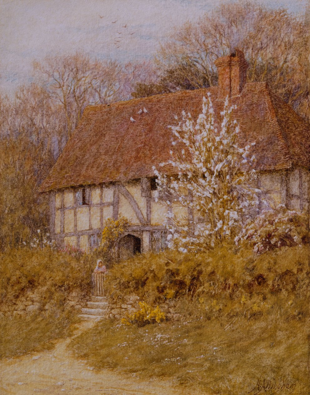 Surrey Cottage (akvarelli paperille) tekijältä Helen Allingham