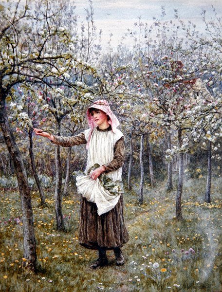 Kukinta-aika (akvarelli paperille) tekijältä Helen Allingham