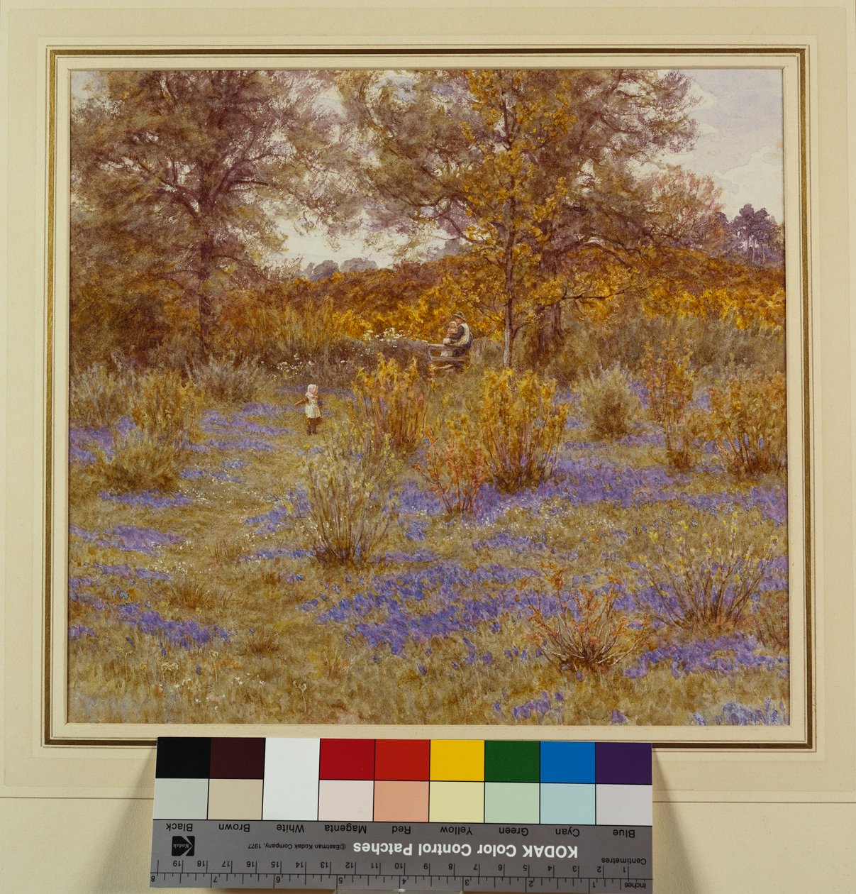 Bluebell Copse, 1889 tekijältä Helen Allingham
