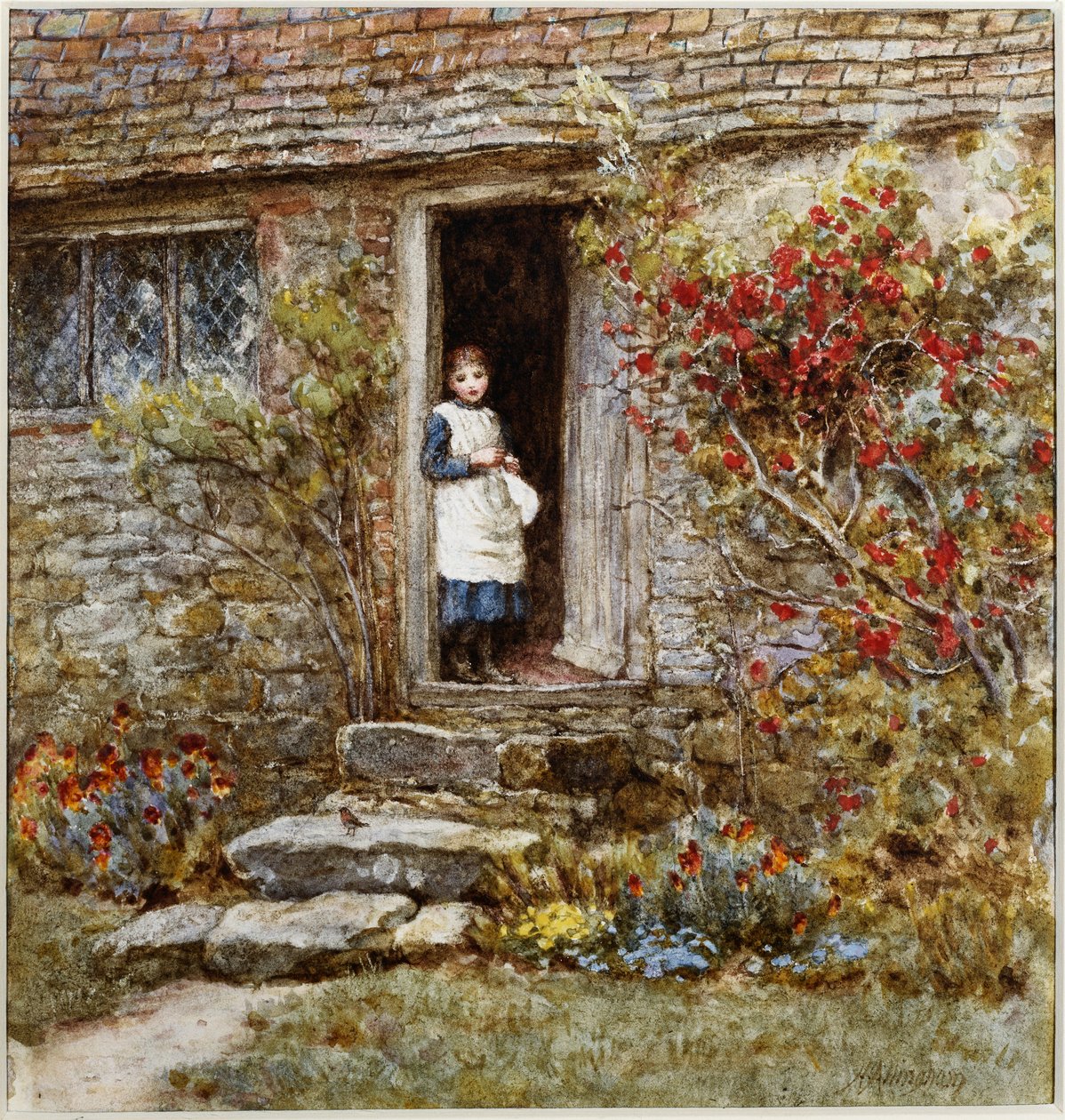 Corcorus Japonica (akvarelli raapimalla) tekijältä Helen Allingham
