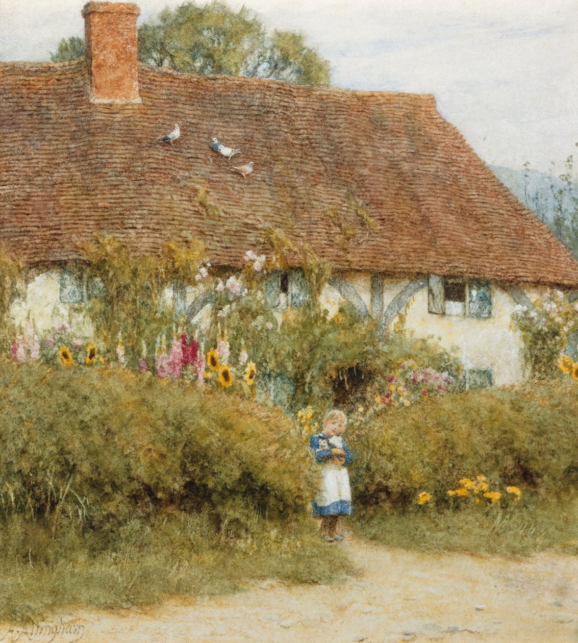 Mökki West Horsleyssä, Surreyssa (akvarelli naarmuuntumalla) tekijältä Helen Allingham