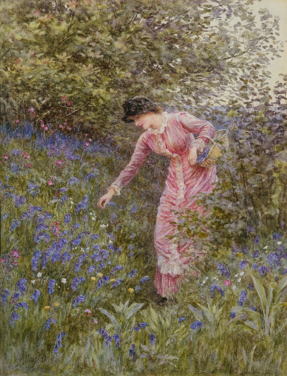 Sinikellojen kerääminen (wc vartalovärillä paperilla) tekijältä Helen Allingham