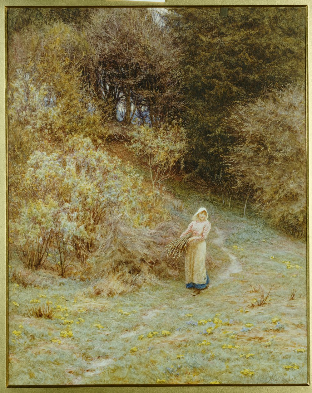 Primrose Woodissa tekijältä Helen Allingham