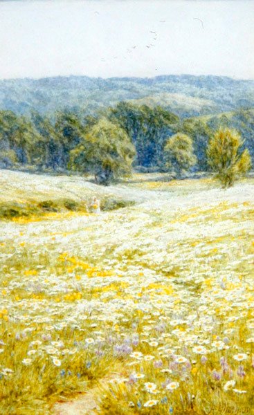 Oxeye Daisies, lähellä Westerhamia, Kentissä (akvarelli paperille) tekijältä Helen Allingham