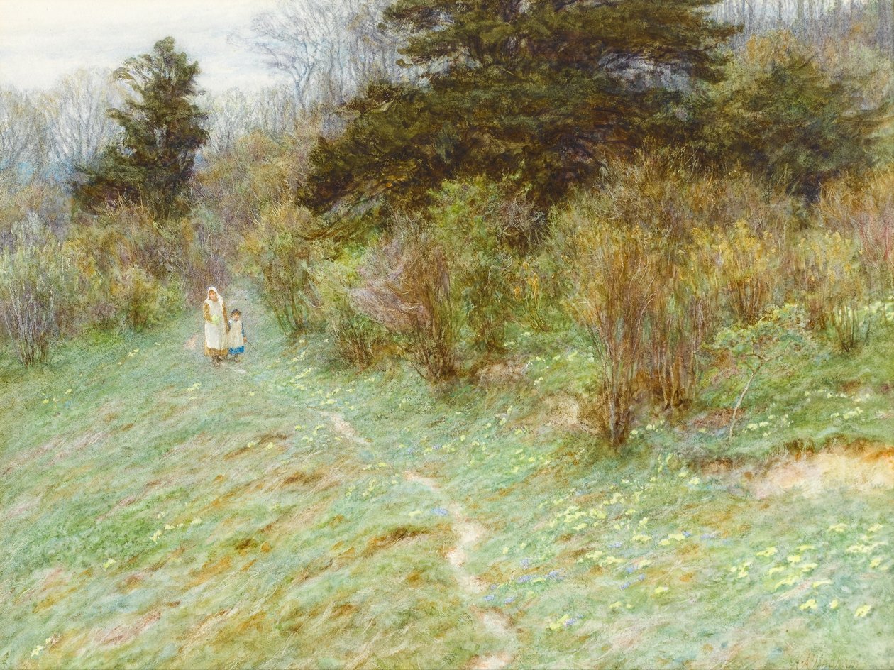 Primroses Surrey Heathillä (wc paperilla) tekijältä Helen Allingham