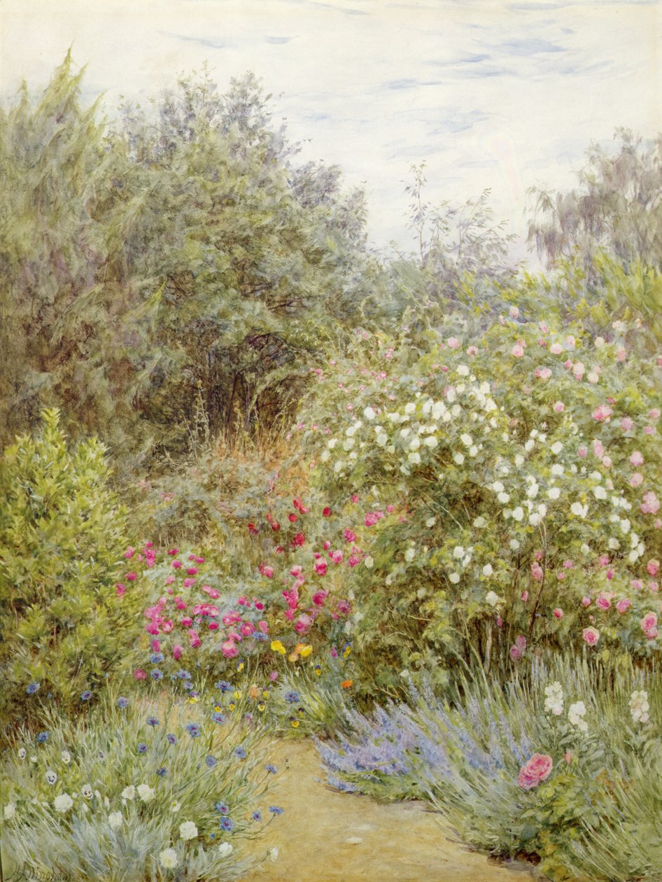 Ruusut Gertrude Jekyllin puutarhassa, Surreyssa (akvarelli paperille) tekijältä Helen Allingham