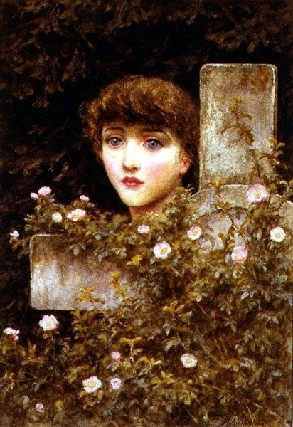 Suru - villiruusu tekijältä Helen Allingham