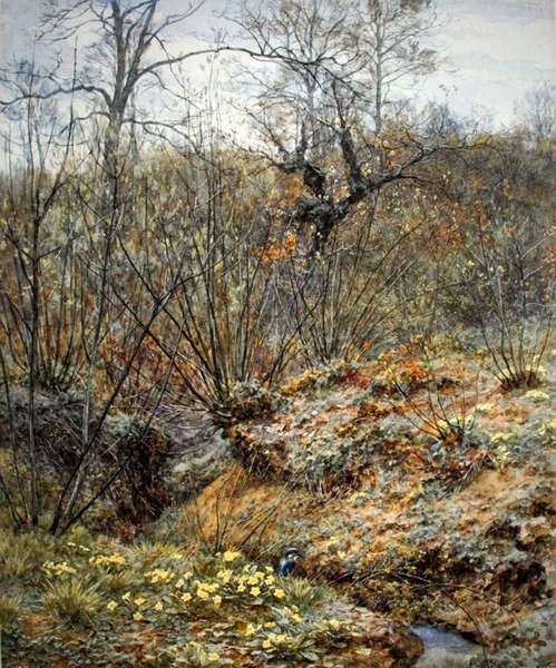 Kevätcopsi, Witley, Surrey (akvarelli paperille) tekijältä Helen Allingham