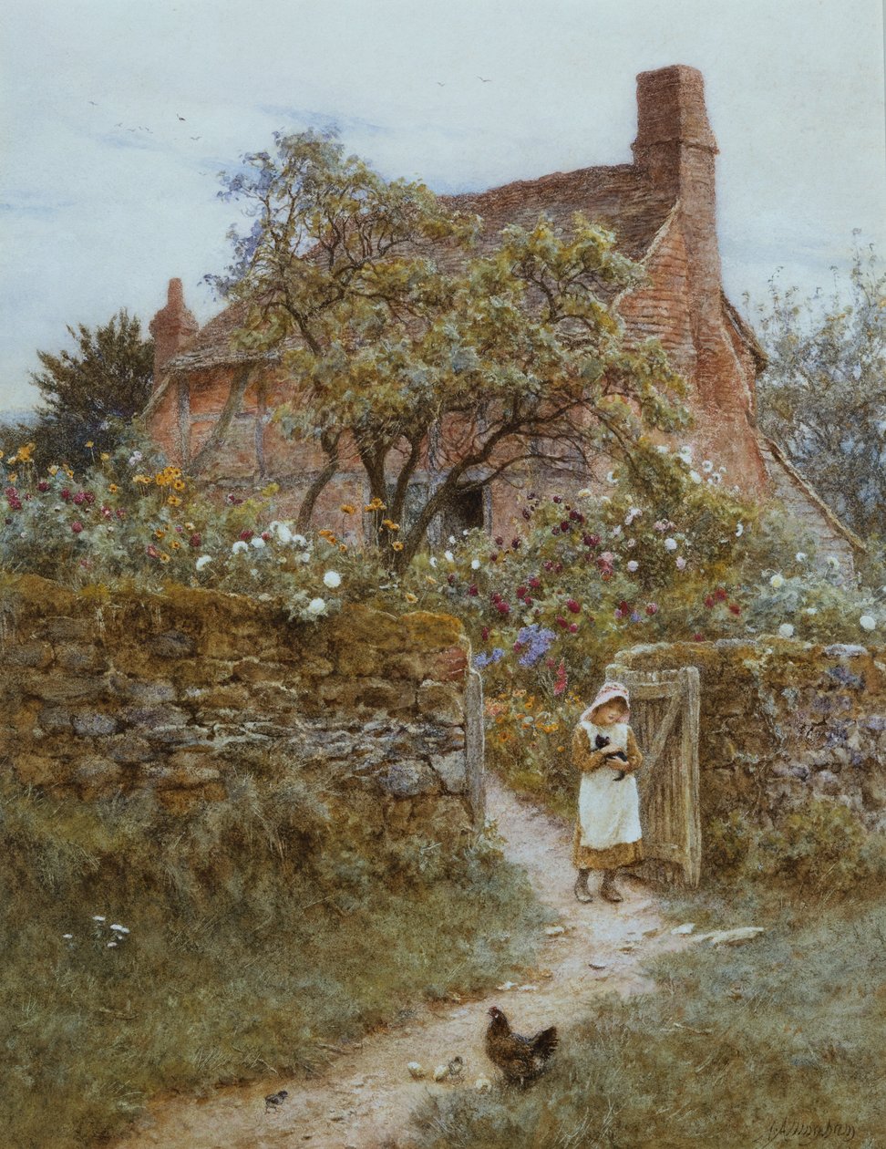 Musta kissanpentu (akvarelli raapimalla) tekijältä Helen Allingham
