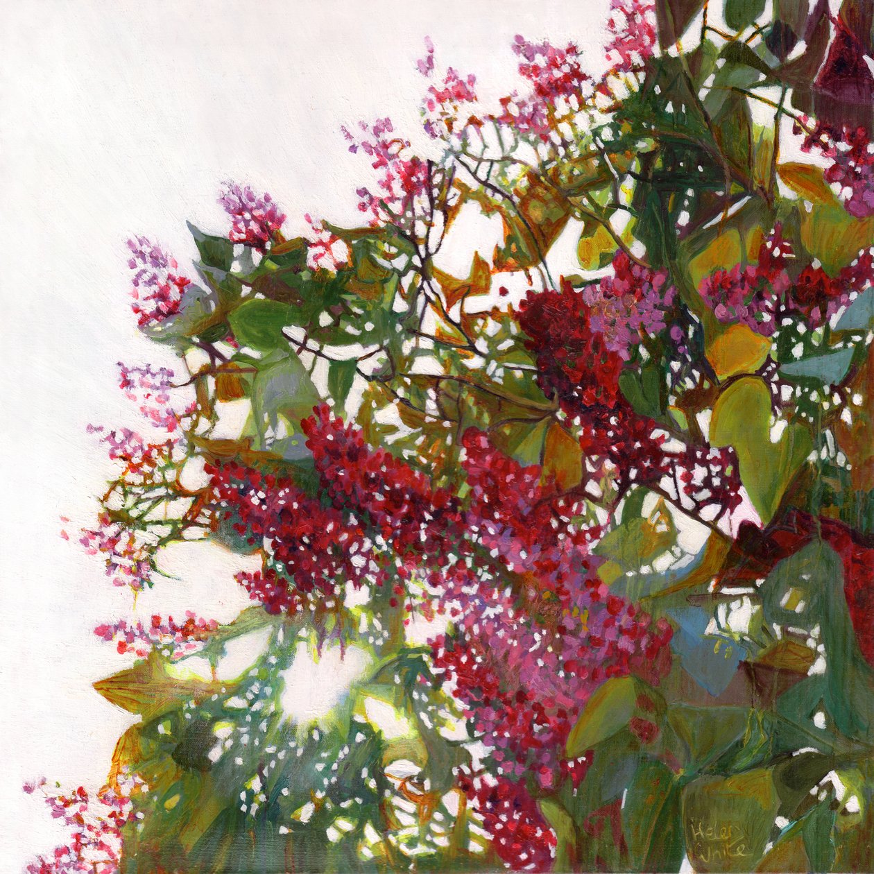 Aglow, 2015 tekijältä Helen White