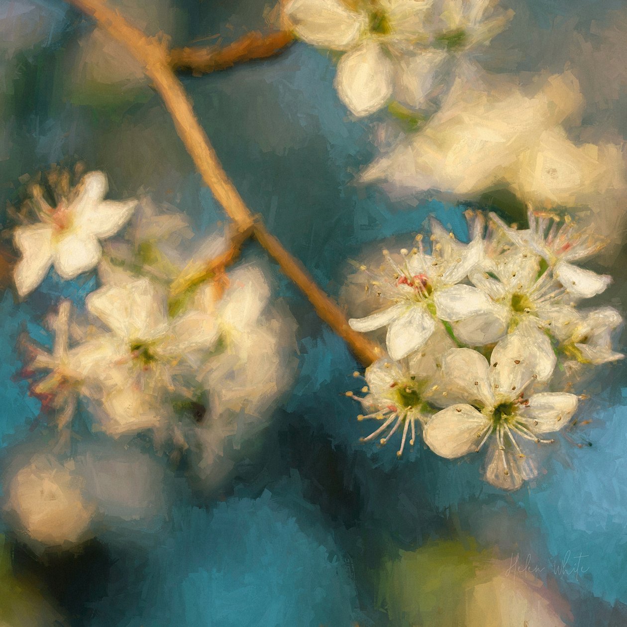 Omenankukka, 2019 tekijältä Helen White