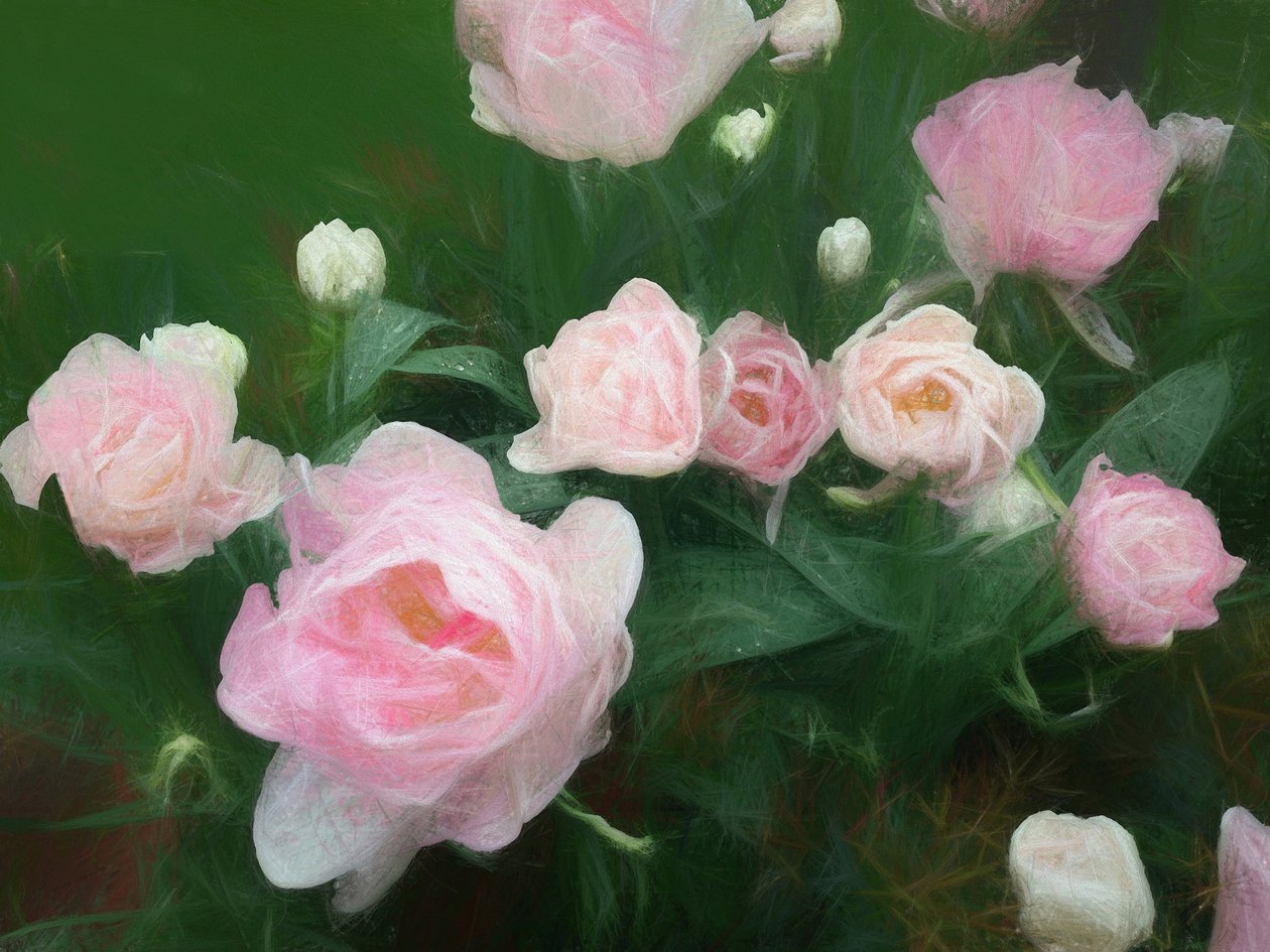 Bed of Roses, 2018 tekijältä Helen White