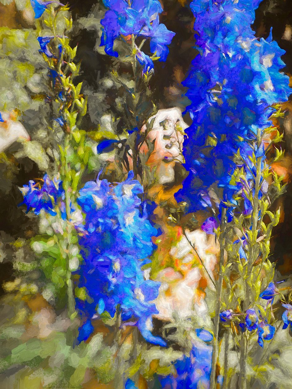 Blue Delphiniumit, 2019 tekijältä Helen White
