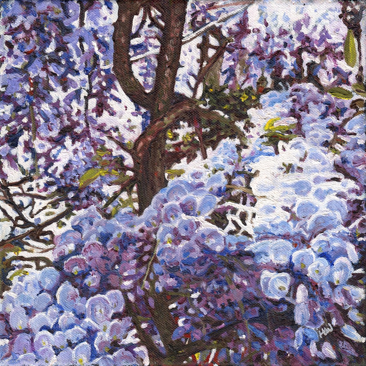 Blue Wisteria, 2012 tekijältä Helen White